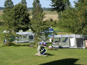 Campsite with shading trees.